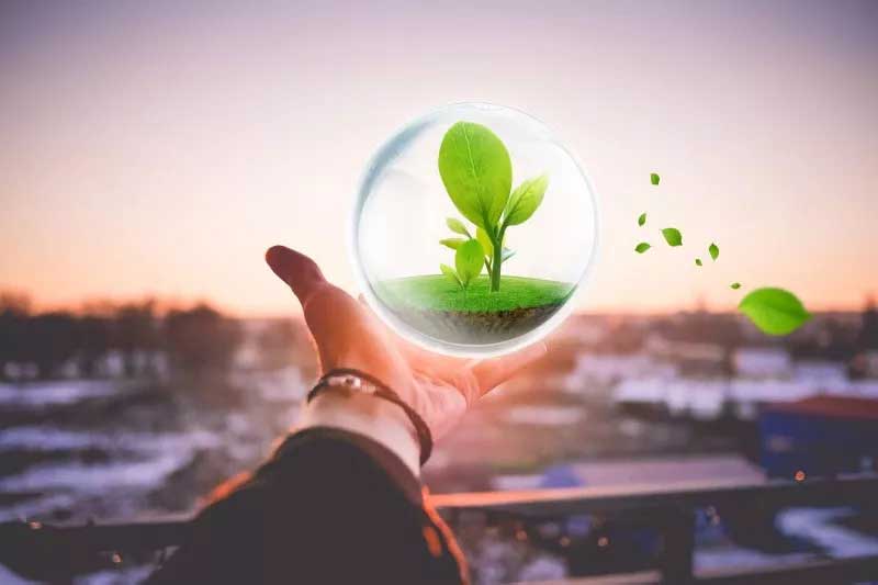 红足1世新2登录