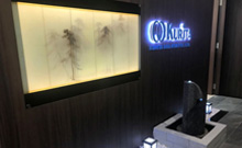 红足1世新2登录