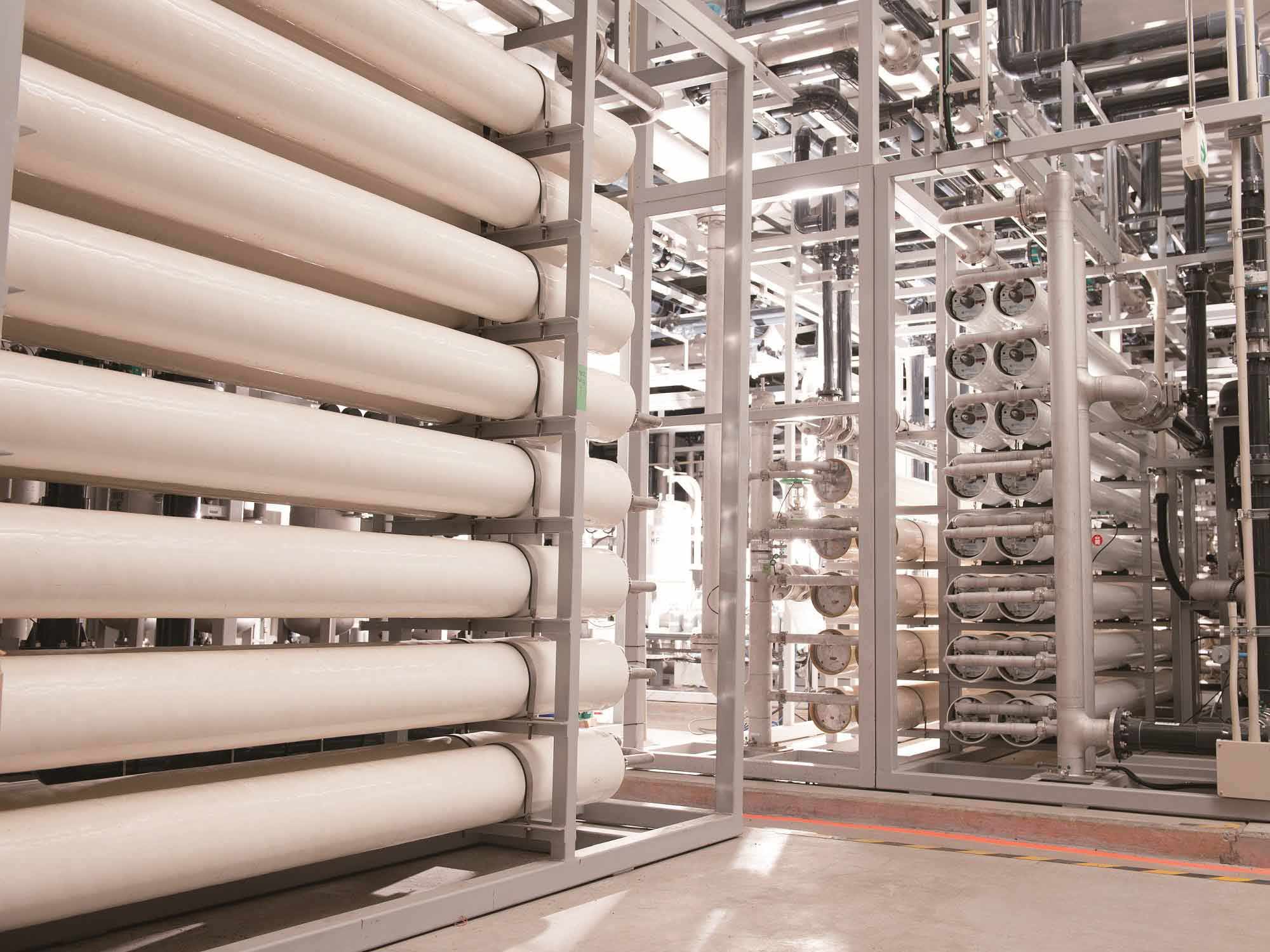 红足1世新2登录