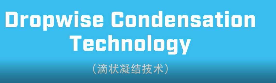 红足1世新2登录