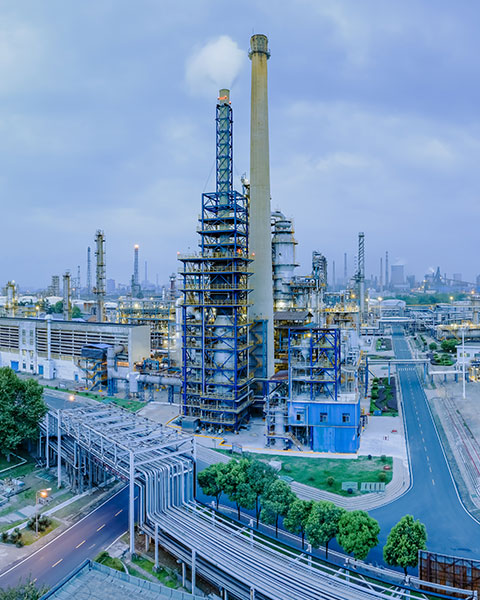 红足1世新2登录