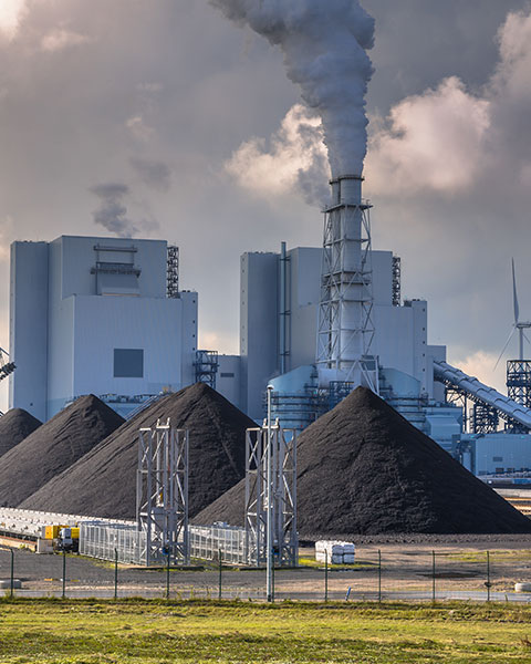 红足1世新2登录