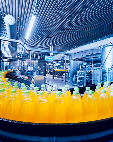 红足1世新2登录